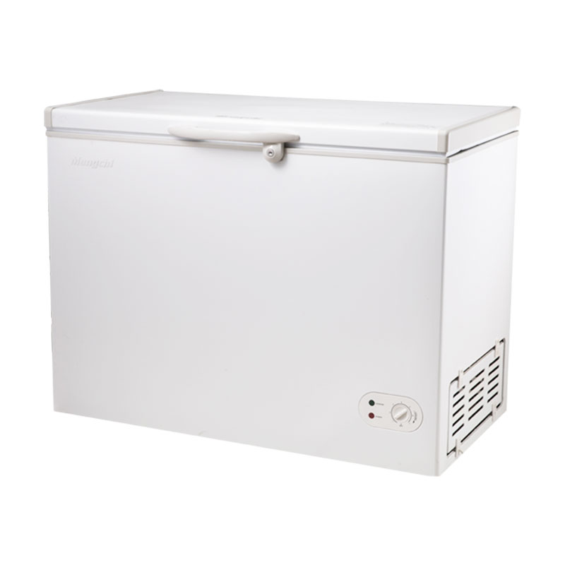 BD-258 / BD-258DC High End Stepped Chest Freezer